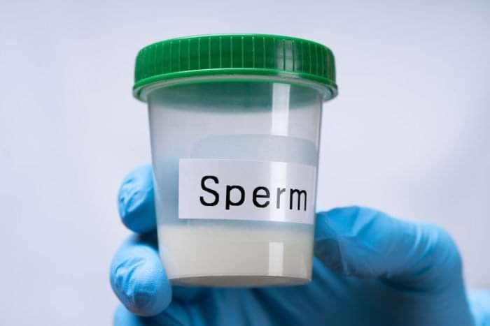 Sperm donation in alabama