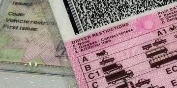 The Traffic Department Has Launched A New System For Renewal Of Driver’s Licenses. See Details.