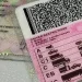 The Traffic Department Has Launched A New System For Renewal Of Driver’s Licenses. See Details.