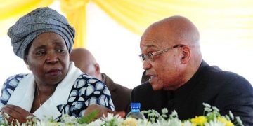 “She’s going to prison just like her husband zuma”- Mzansi reacts As Dlamini Zuma lands in hot Water