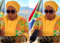 Is this the end of the way for Dlamini-Zuma? Check out the new court proceedings against her