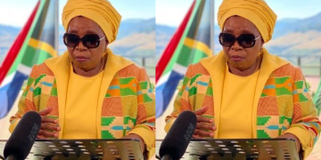 Is this the end of the way for Dlamini-Zuma? Check out the new court proceedings against her