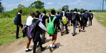 Is this the end for Zimbabwean students? See what they did to 200 000 of them