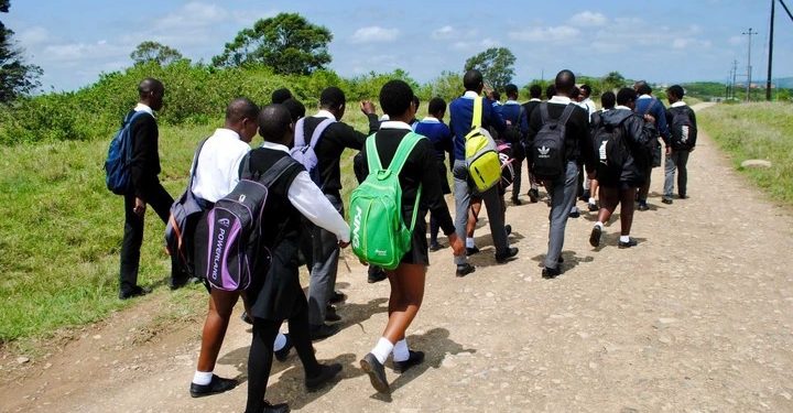 Is this the end for Zimbabwean students? See what they did to 200 000 of them