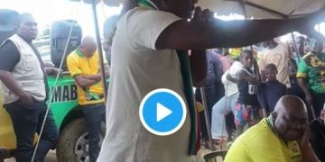 Watch: Ngizwe Mchunu Campaign For ANC In KZN Ahead Of By-elections