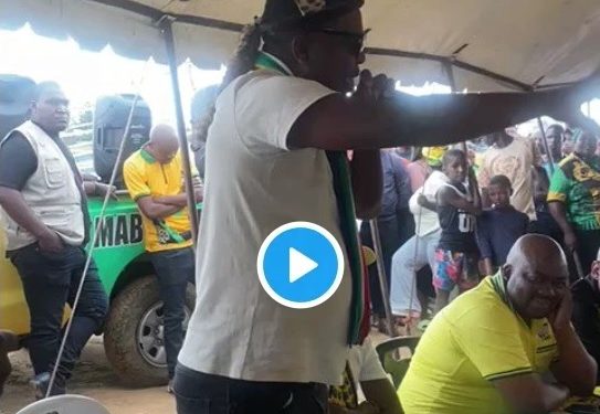 Watch: Ngizwe Mchunu Campaign For ANC In KZN Ahead Of By-elections
