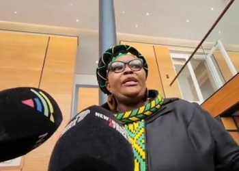 “That you are ANC vice president doesn’t automatically make you vice president of the country” Pemmy