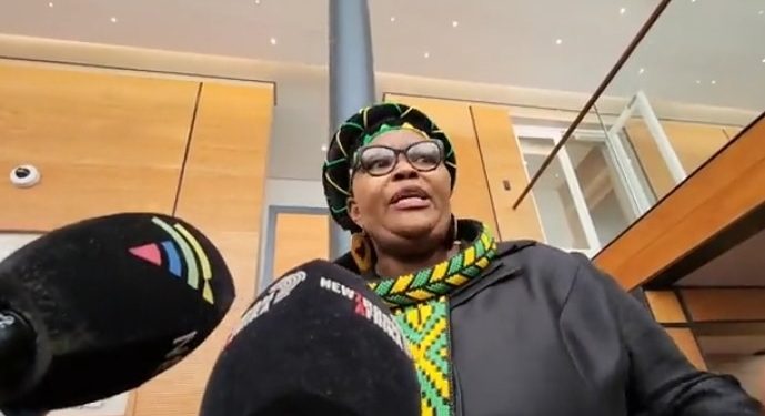 “That you are ANC vice president doesn’t automatically make you vice president of the country” Pemmy