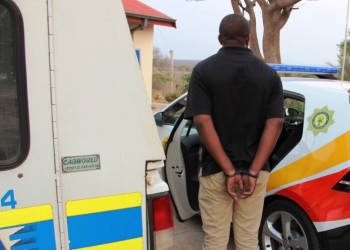 The HAWKS Have Done It Again, See What Happened To This Government Crook