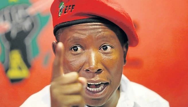 “You Won’t Heal Shame” Malema Blasts Action SA Leader