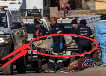 4 dead bodies found this morning after a midnight party went wrong