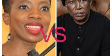 EFF Rejects public protector Nonsensical Report