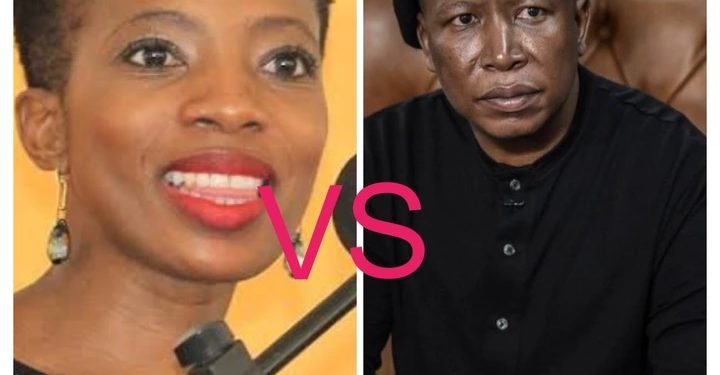 EFF Rejects public protector Nonsensical Report