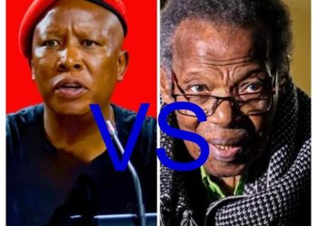 Julius Malema slammed IFP leader Mangosuthu Buthelezi, calling him a sellout.