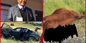 Pictures Of ANC MEC Tate Makgoe’s Tragic Accident Have Been Posted On Social Media