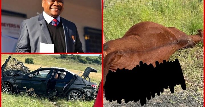 Pictures Of ANC MEC Tate Makgoe’s Tragic Accident Have Been Posted On Social Media