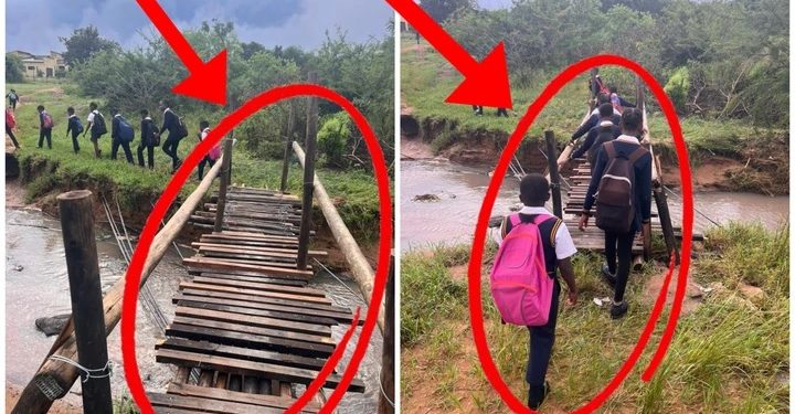 EFF Councillor Received R50 000 After Building This Bridge For School Children In Bushbuckridge