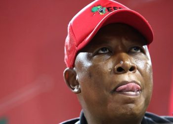 “Malema May Become Deputy President Through Alliance With Mashatile” Analyst Says