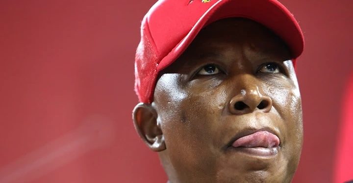“Malema May Become Deputy President Through Alliance With Mashatile” Analyst Says