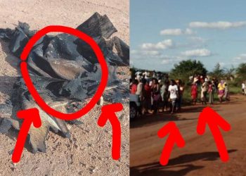 Man Got Fuel & Set Himself On Fire At A Bush In Limpopo, Then This Tragically Happened To Him Later