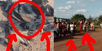 Man Got Fuel & Set Himself On Fire At A Bush In Limpopo, Then This Tragically Happened To Him Later