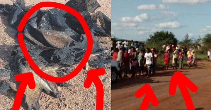 Man Got Fuel & Set Himself On Fire At A Bush In Limpopo, Then This Tragically Happened To Him Later