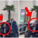 ANC Bigwig Caused A Big Stir When He Arrived At The NEC Meeting | See This