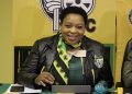 KwaZulu-Natal Premier under fire