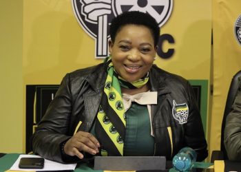 KwaZulu-Natal Premier under fire