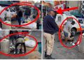 Look What The Metro Police Forced Foreigners To Do In Johannesburg | See This