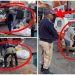 Look What The Metro Police Forced Foreigners To Do In Johannesburg | See This