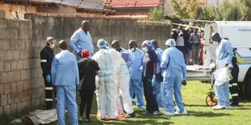 Another lifeless body found in Dali Mpofu