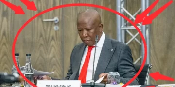 Look at what Julius Malema was spotted doing at the high Court that left everyone speechless