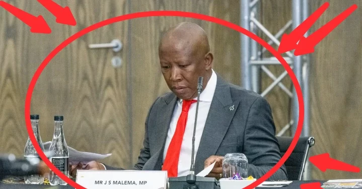 Look at what Julius Malema was spotted doing at the high Court that left everyone speechless