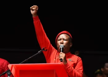 Sad news for all criminals in SA. Here is what Malema suggested should be done to any criminal in SA