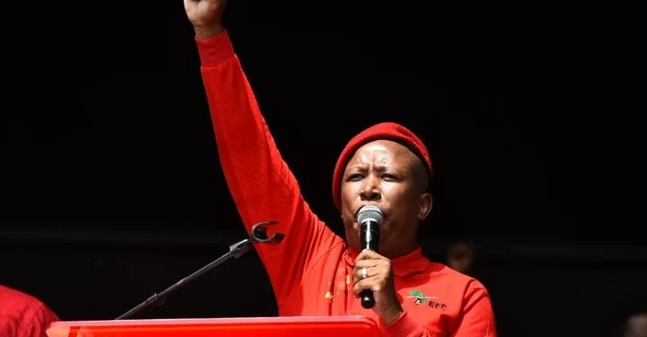 Sad news for all criminals in SA. Here is what Malema suggested should be done to any criminal in SA