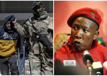 “There Will Be Looting All Over This Country” Malema Sent A Warning To South Africa About Looting