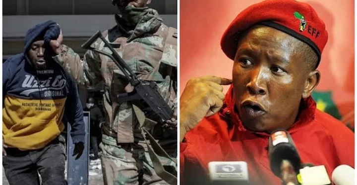 “There Will Be Looting All Over This Country” Malema Sent A Warning To South Africa About Looting