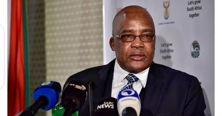 Home Affairs Goes to War With Dr Nandipha After She Accuses Them of Doing This