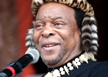 Late King Zwelithini’s, 12 Daughters, And 14 Sons : PHOTOS