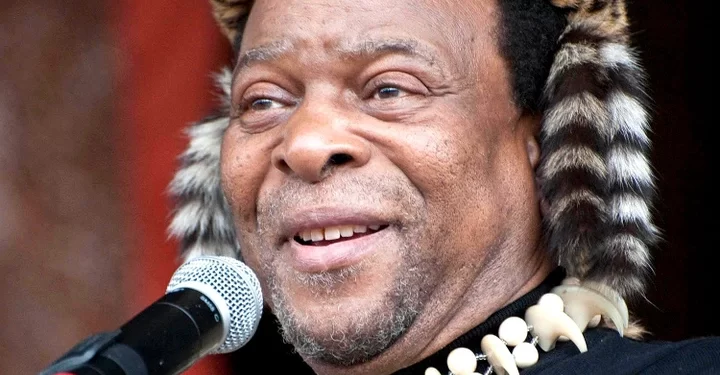 Late King Zwelithini’s, 12 Daughters, And 14 Sons : PHOTOS