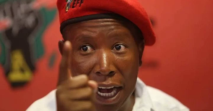 WATCH | Malema has gone far this time, See what he said that left South Africans speechless