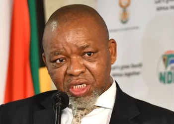 Gwede Mantashe is out for blood, See what he said that left everyone in parliament speechless