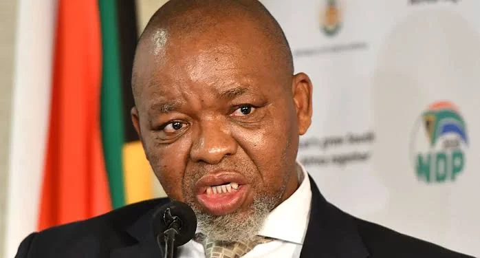 Gwede Mantashe is out for blood, See what he said that left everyone in parliament speechless