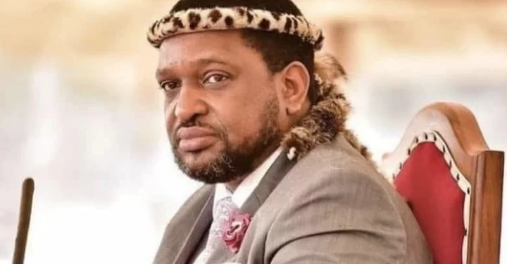 ‘You Can Tell He’s An RET Force, He Knows Power’ ANC Cde On King Misuzulu