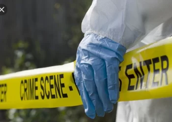 TRAGIC| Murder Case Opened After A Zimbabwean Man Was Killed At Beitbridge Border. Look Who Did It.