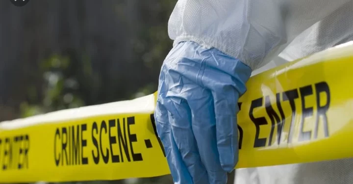 TRAGIC| Murder Case Opened After A Zimbabwean Man Was Killed At Beitbridge Border. Look Who Did It.