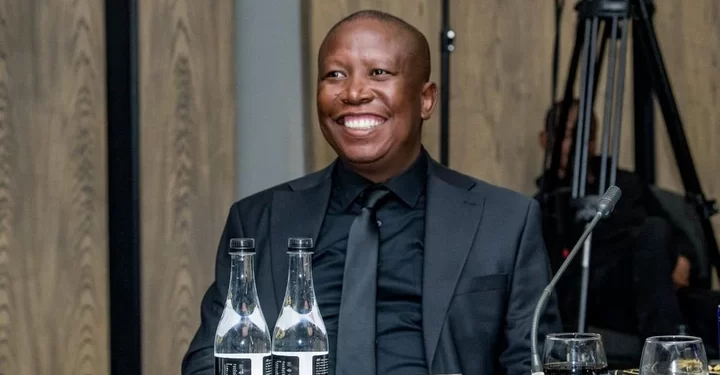 Meet Julius Malema, the first African to become a billionaire through politics