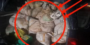 South Africa is finished|| Look over 100 illegal foreigner were caught bringing into the country