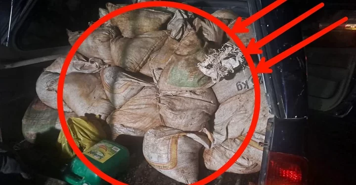 South Africa is finished|| Look over 100 illegal foreigner were caught bringing into the country